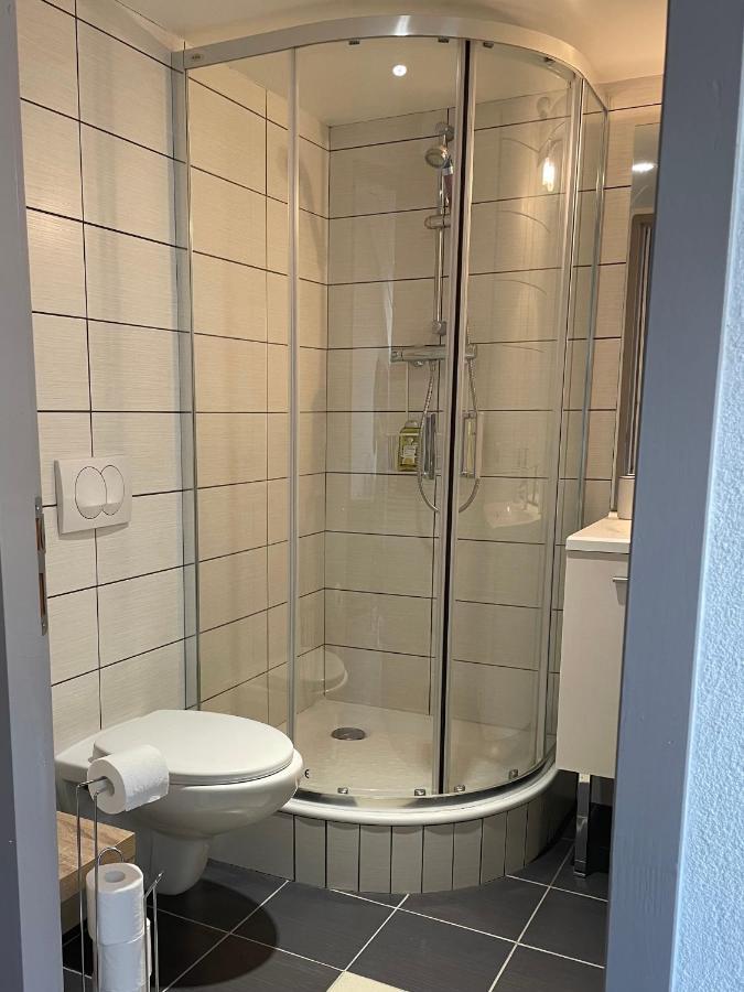 Studio Sous Les Toits Annecy Centre-Ville Esterno foto